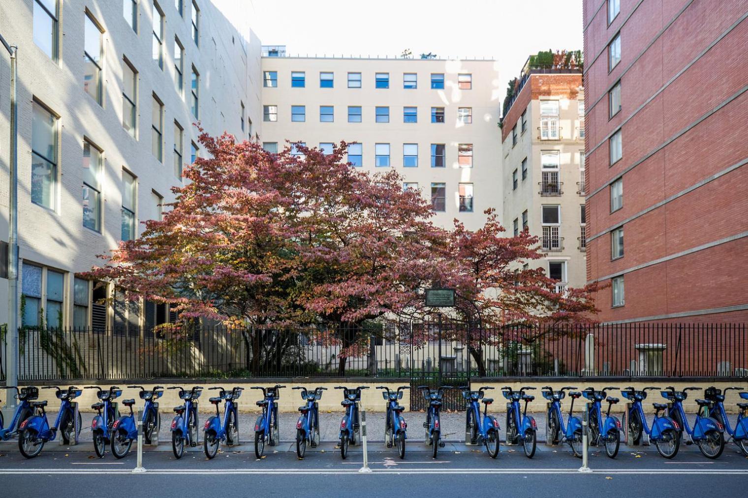 Apartment Chelsea W Elevator Wd Nr Union Square Nyc-1319
